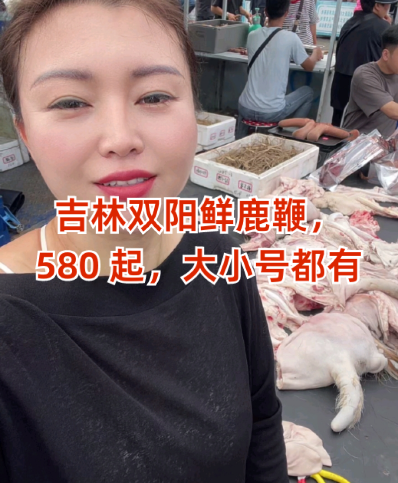 【鹿鞭】鲜鹿鞭成年壮鹿带睾丸整根整个正品保证男士泡酒