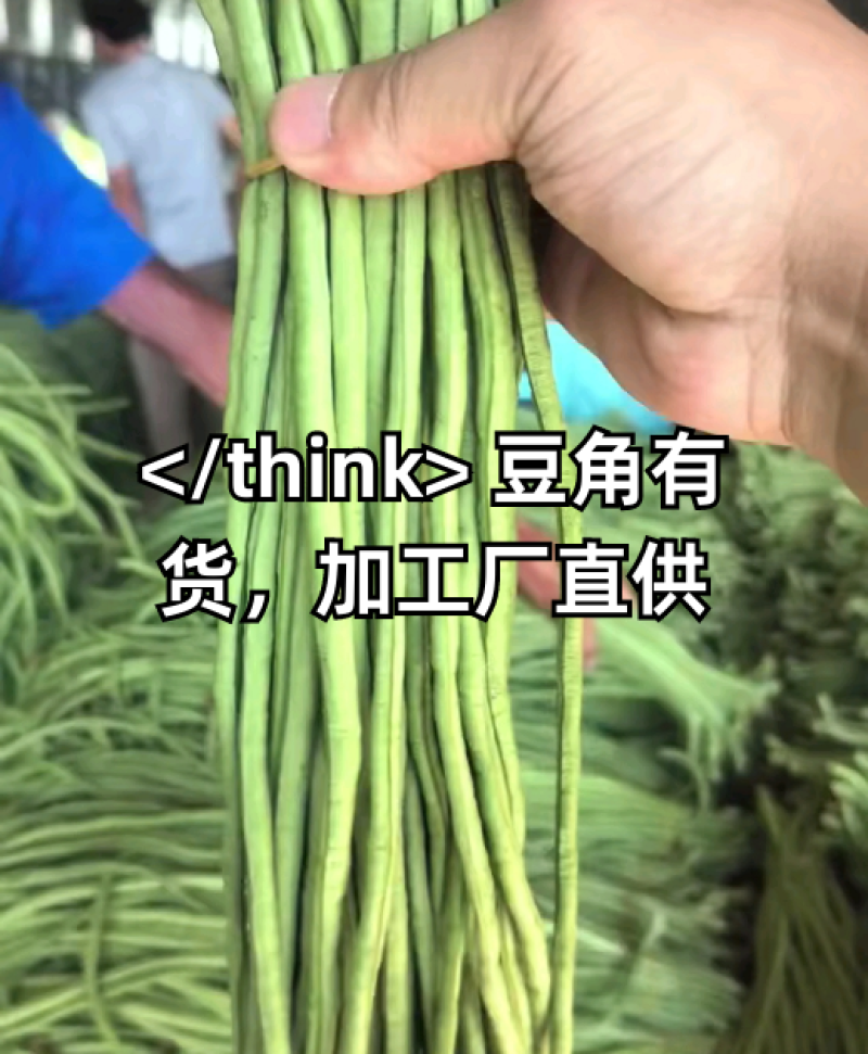 安徽宿州精品长豆角青条豆角大量上市打冷水洗协助上车