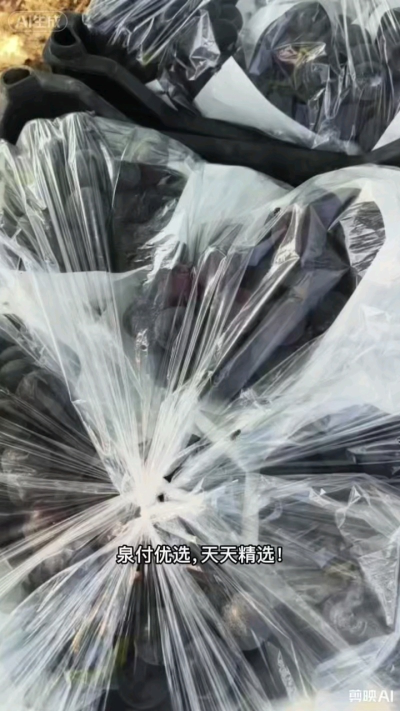 河北饶阳夏黑葡萄，精品直采，脆爽多汁