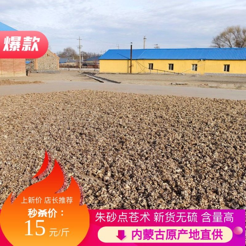 『朱砂点苍术』内蒙苍术/新货无硫含量高/量大优惠