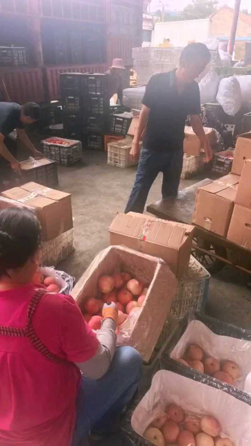 【清库存】山东红富士苹果，产地供应【电商、市场、食堂】