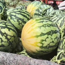 河南西瓜通许美都西瓜皮薄瓤红瓜形端正无生瓜不开裂甜度高