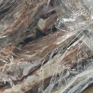济南满肉羊蝎子245元一箱10公斤