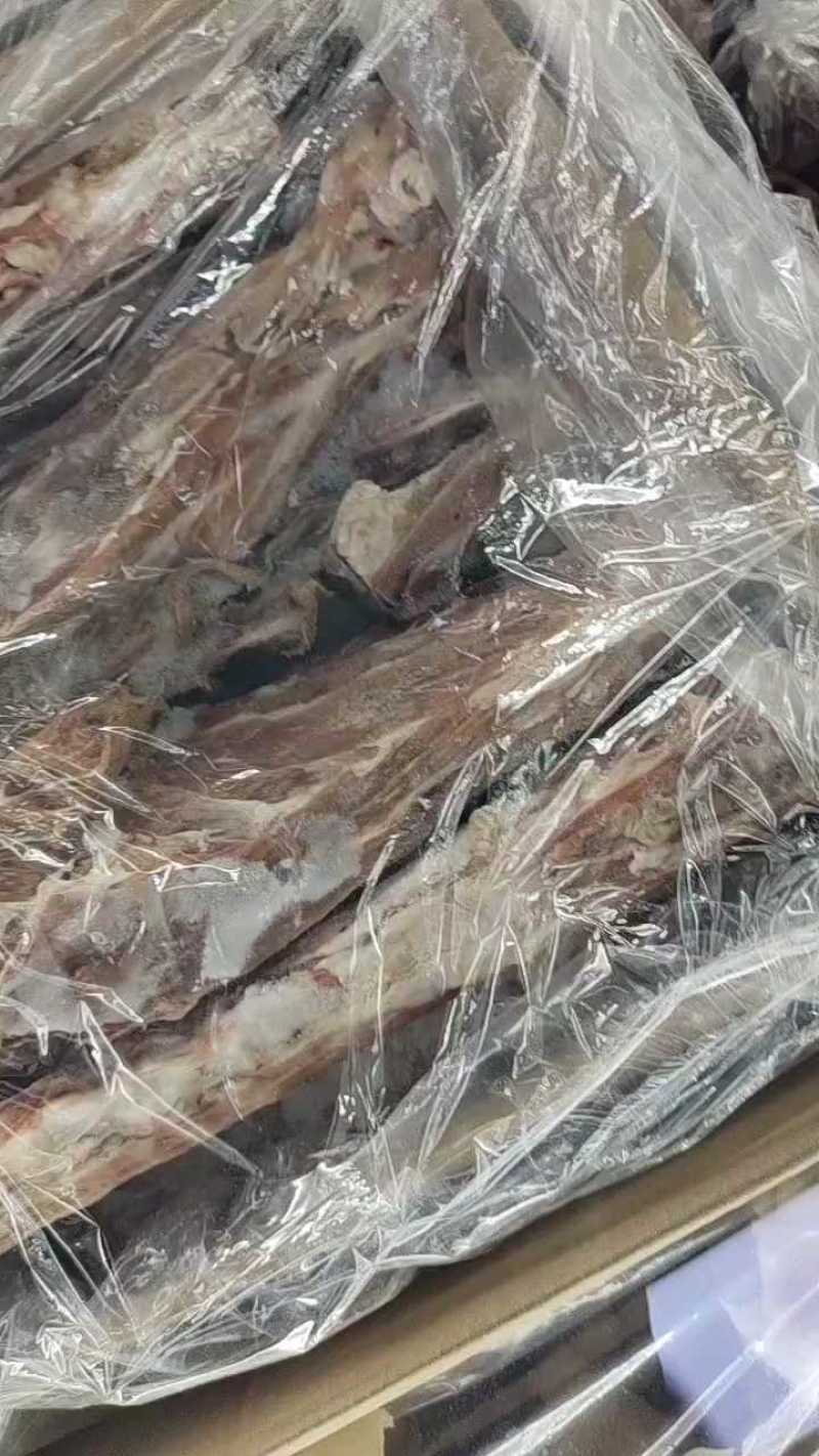 济南满肉羊蝎子245元一箱10公斤