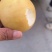 精品圆黄6两起，大量上市，6.8元