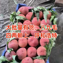 大批量有货，八九毛，四两朝上