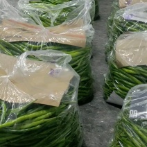 河南精品线椒大量上市，货源充足，质量保证，欢迎合作
