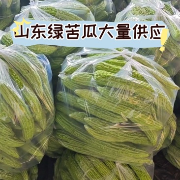 山东次绿苦瓜烘干厂加工厂切片专用产地直发大量供应