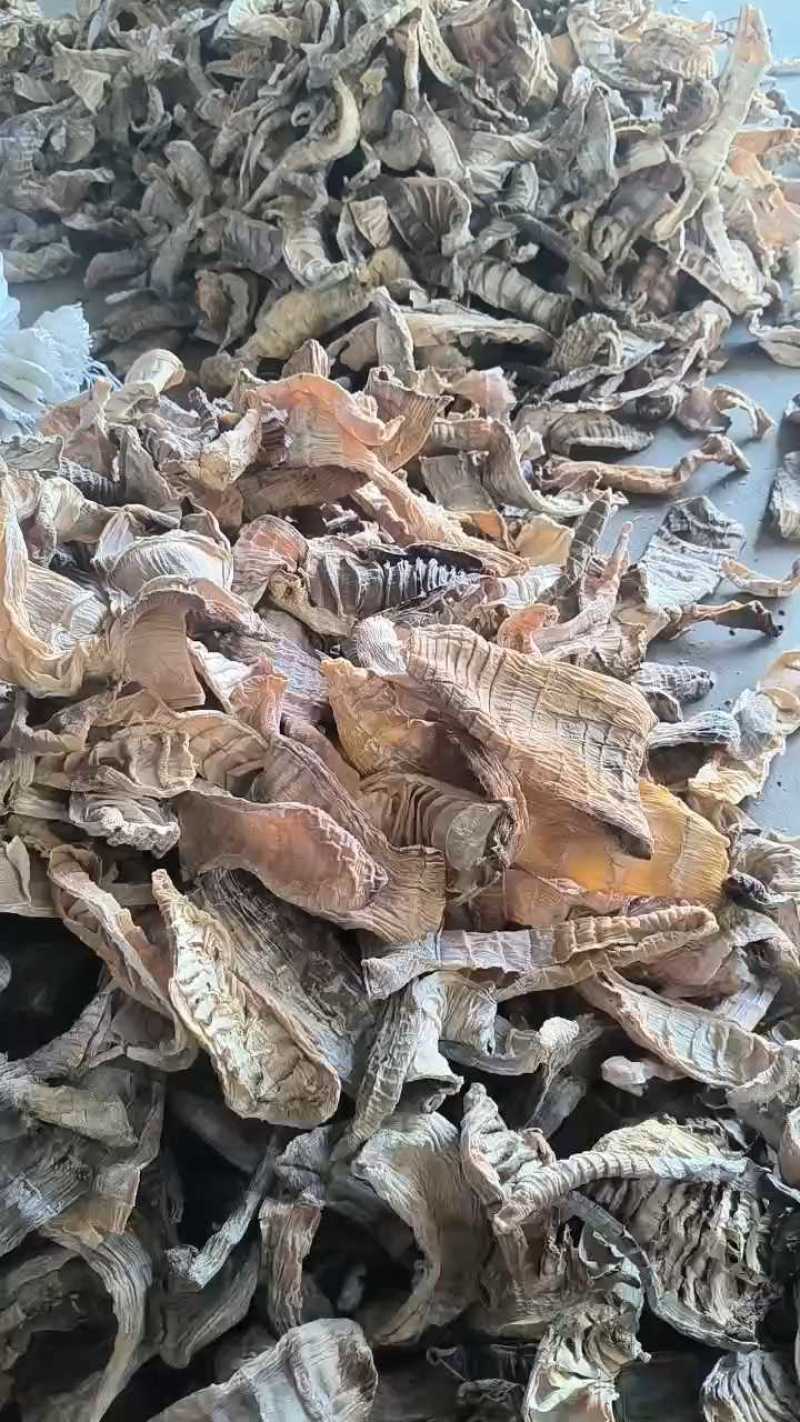 【实力供货】毛笋干笋干品质保证果芝然商贸欢迎如您共赢