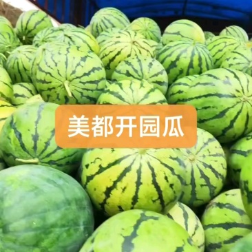 美都西瓜8424金城五号石头瓜硒砂瓜瓜口感脆甜保质保量