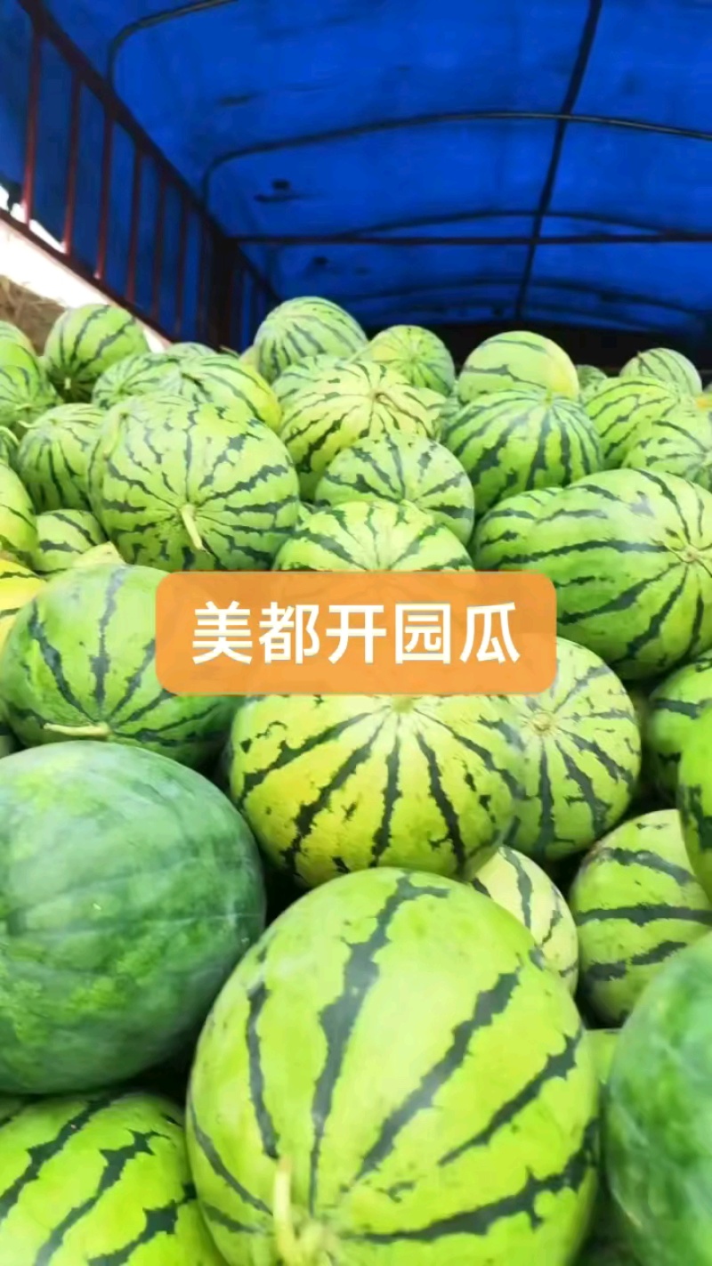 美都西瓜8424金城五号石头瓜硒砂瓜瓜口感脆甜保质保量