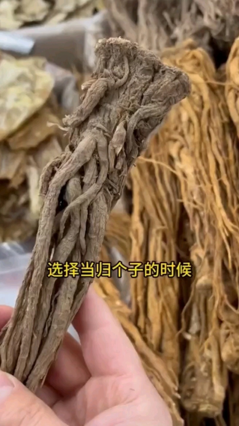 甘肃岷县特级无硫全当归片农家散装药食同源泡水煲汤量大优惠