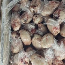 羊宝，羊蛋，一斤3个左右，品质保证，全国发货