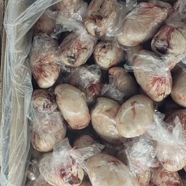 羊宝，羊蛋，一斤3个左右，品质保证，全国发货