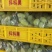 河北衡水维多利亚葡萄清甜可口量大从优价格美丽质量**