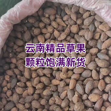 【优质草果】云南草果中大果-假一赔千-干度十足全国包邮