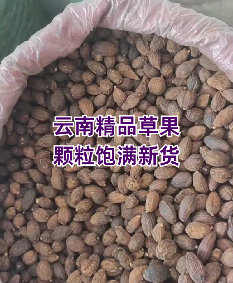 【优质草果】云南草果中大果-假一赔千-干度十足全国包邮