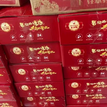 山西运城临猗早熟青苹果