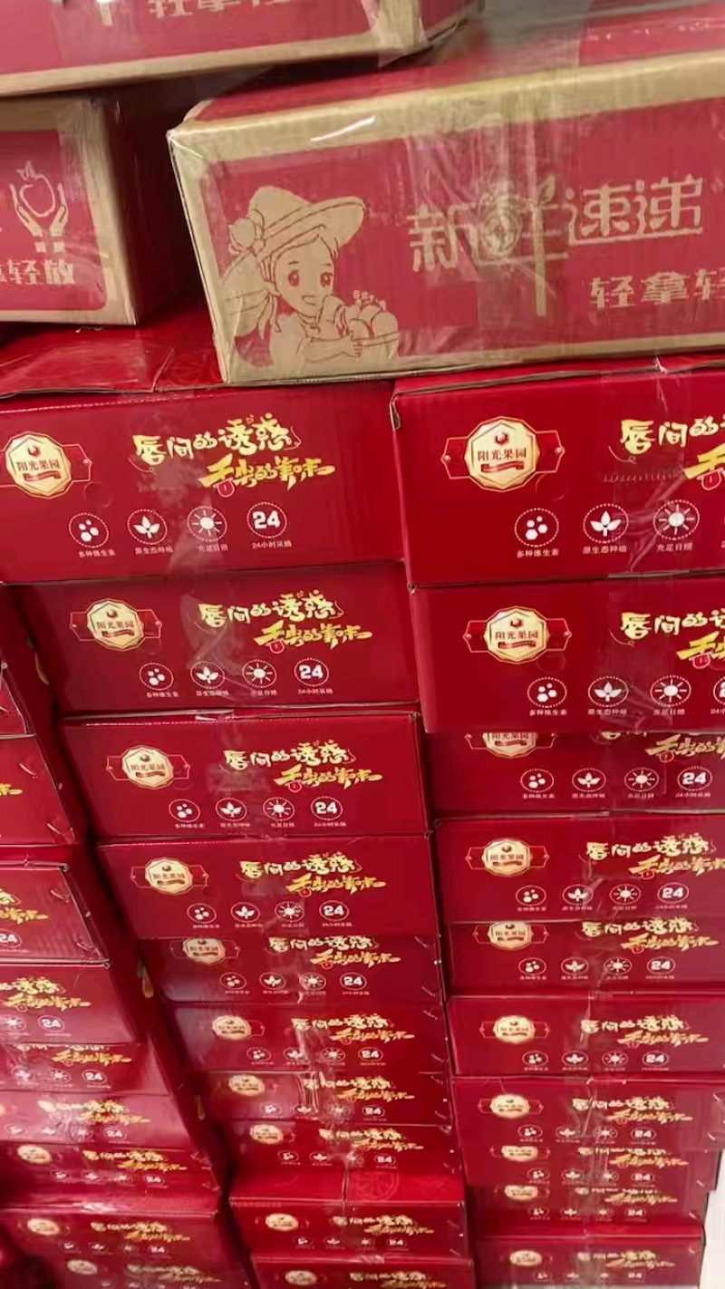 山西运城临猗早熟青苹果