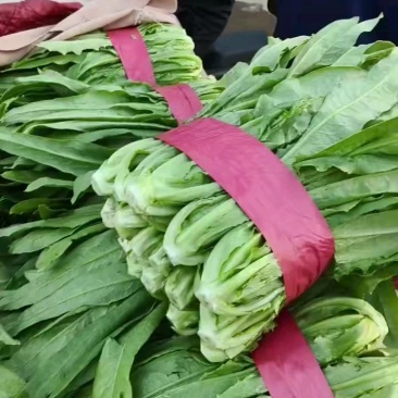 好货小圆根，无干尖无梗子