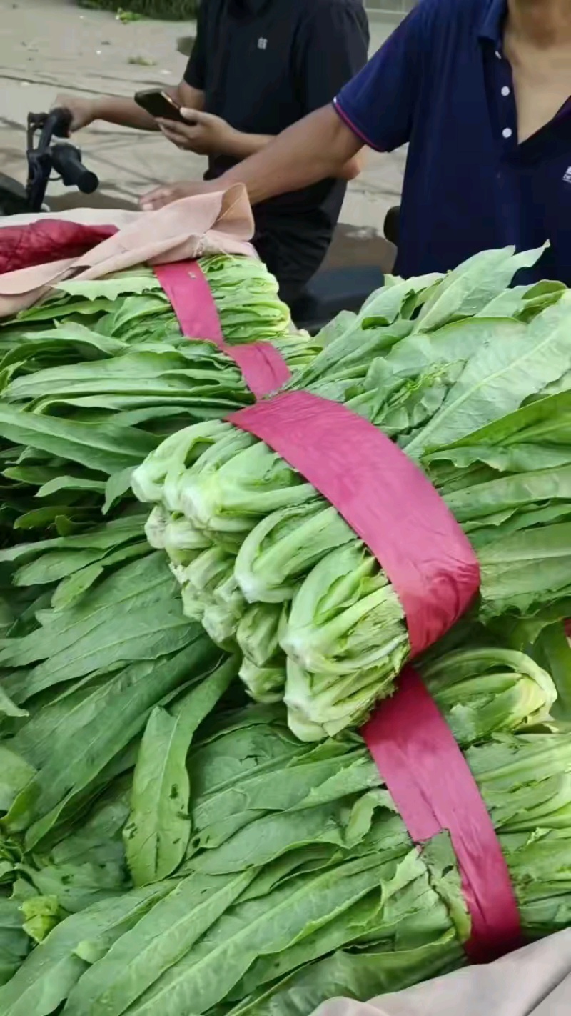 好货小圆根，无干尖无梗子