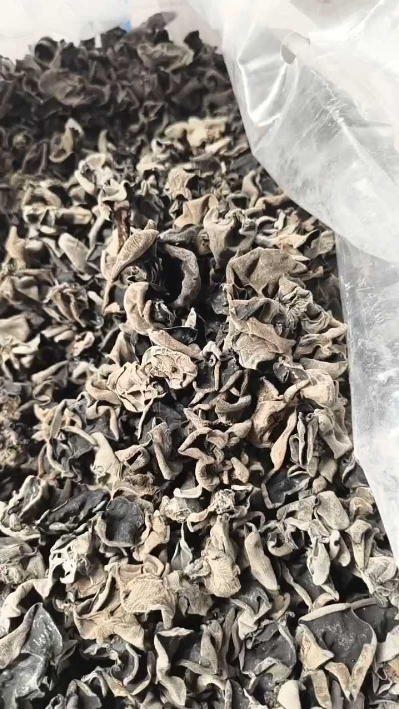 【2026】新东北原货木耳/黑木耳/秋木耳/餐饮商超电商