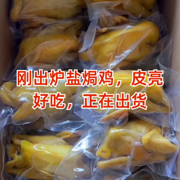 五指毛桃盐焗鸡地摊电商批发盐焗鸡摆摊卤味熟食全熟盐焗鸡