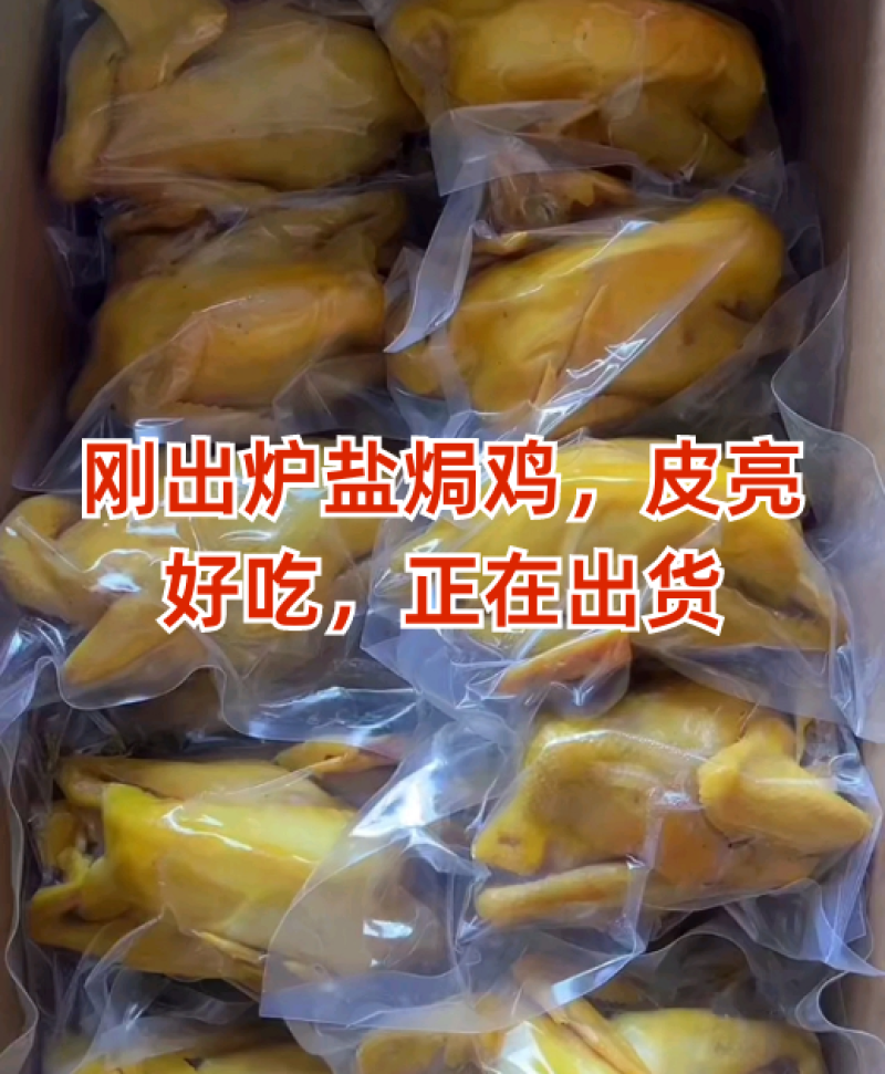 五指毛桃盐焗鸡地摊电商批发盐焗鸡摆摊卤味熟食全熟盐焗鸡