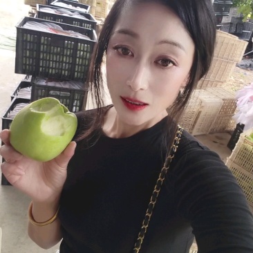 山东华硕苹果上市口感脆甜个头均匀产地对接出口