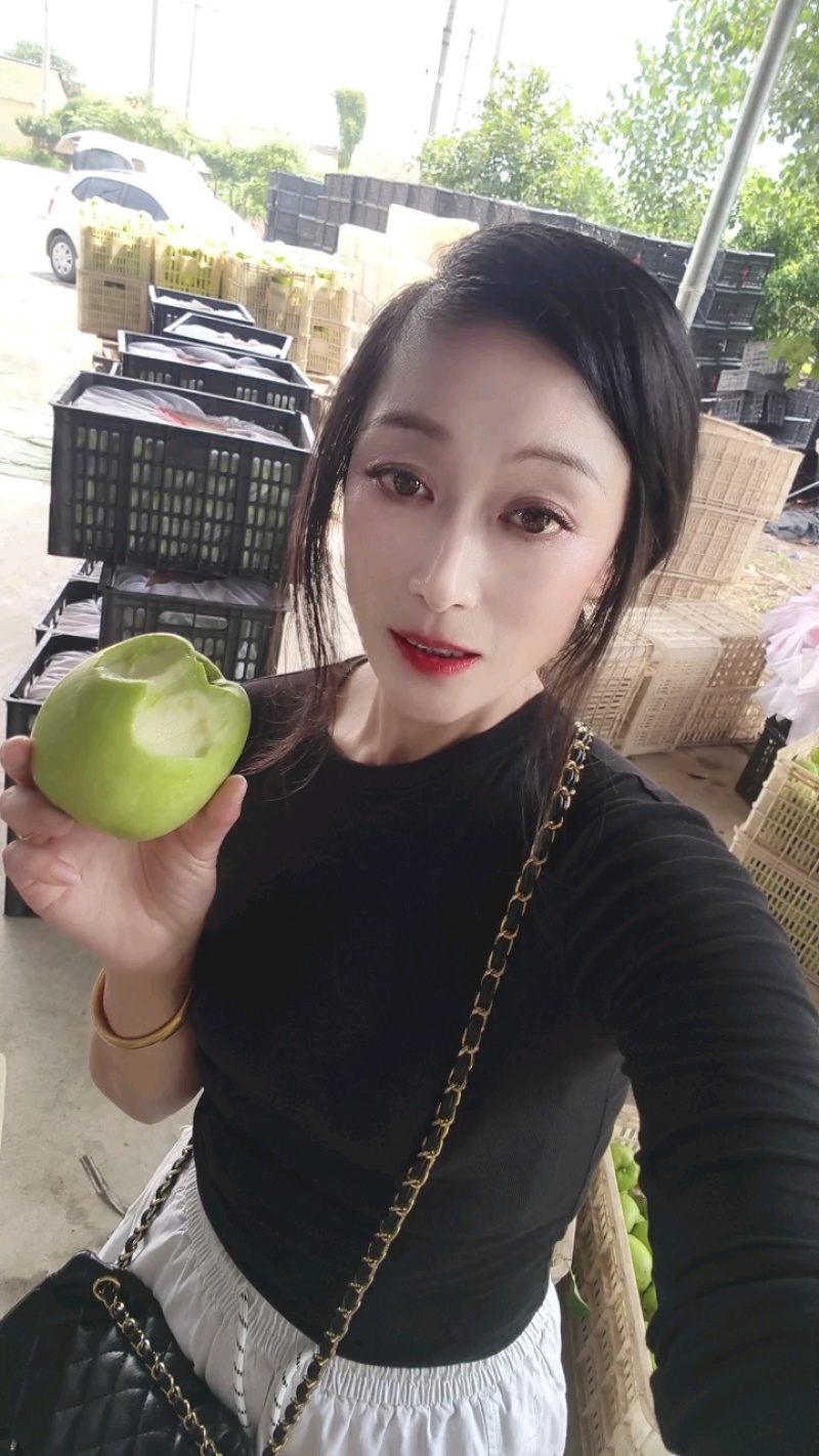 山东华硕苹果上市口感脆甜个头均匀产地对接出口