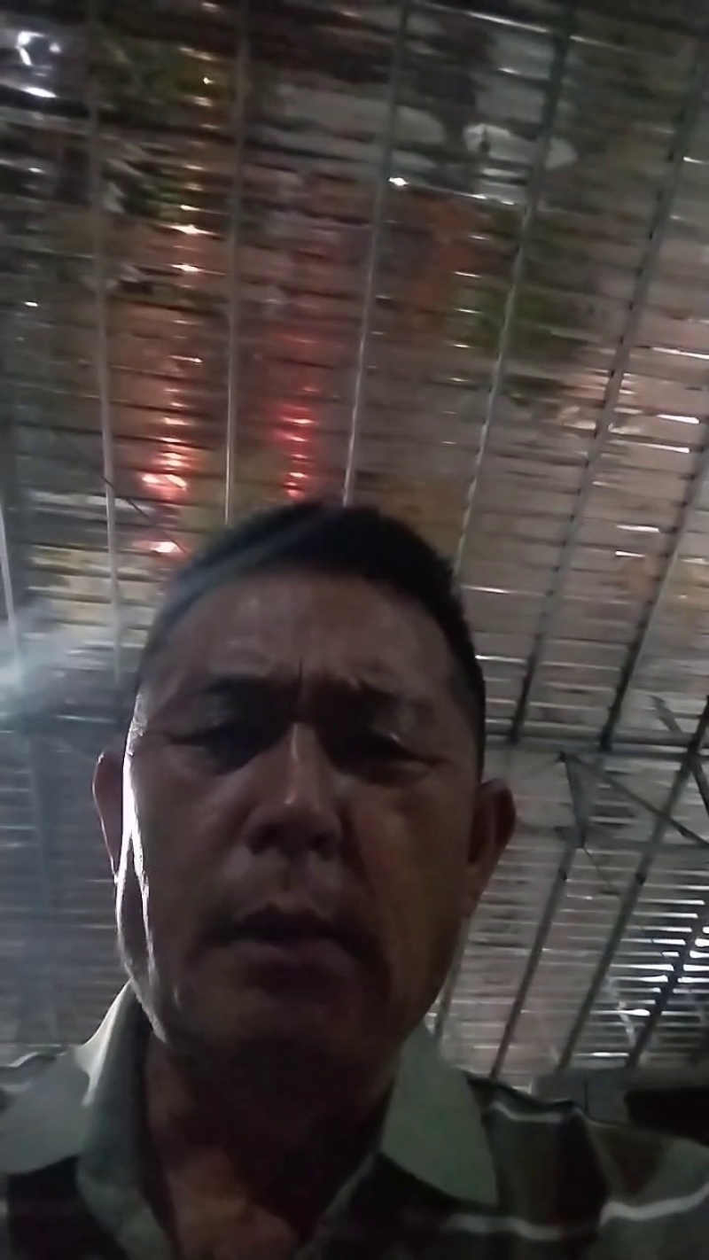 板栗新鲜板栗凉山产地板栗一手货源全国批发电商市场