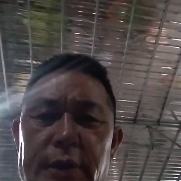 四川大凉山大优干核桃现货速发批发代高山老树核桃口感好薄皮