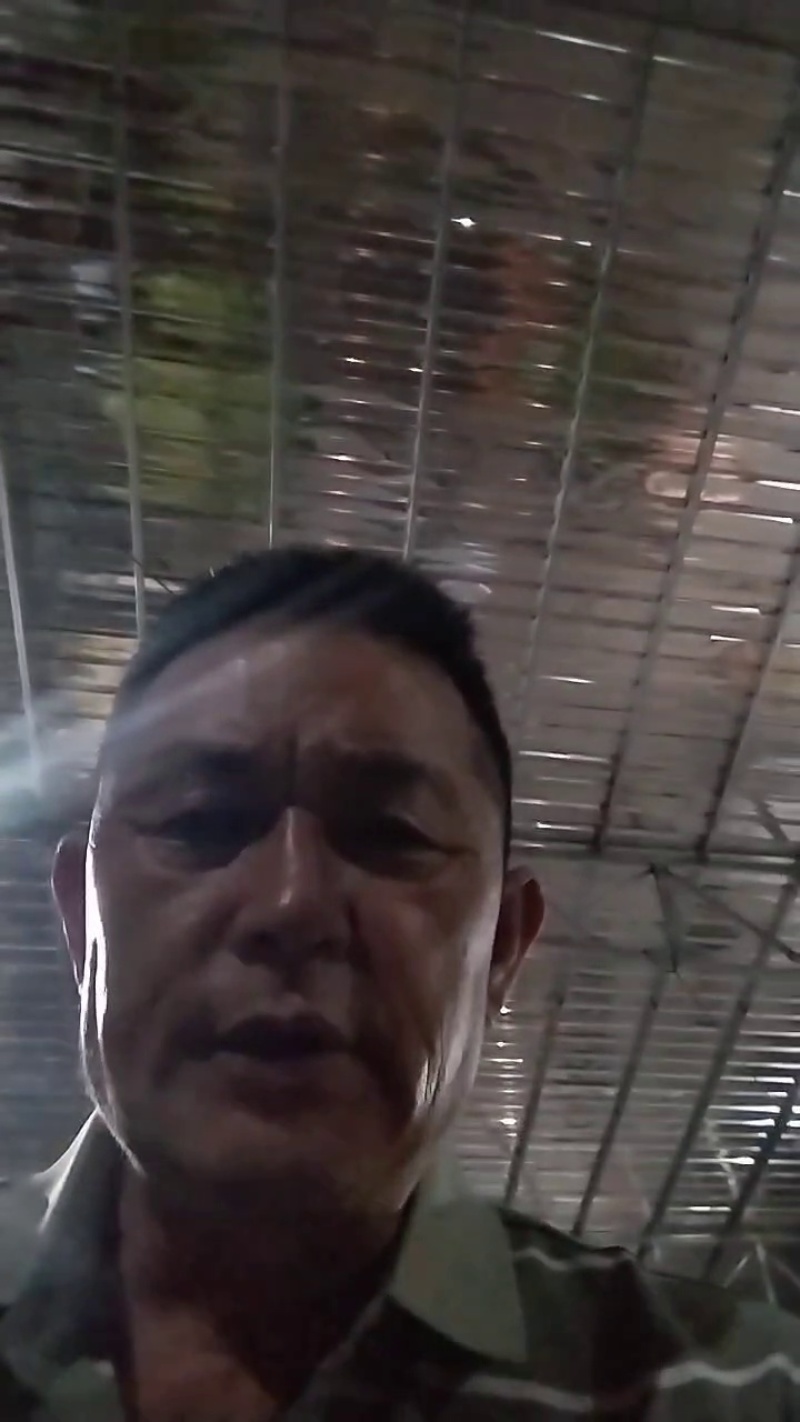 四川大凉山大优干核桃现货速发批发代高山老树核桃口感好薄皮