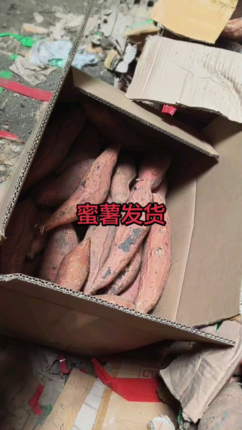 蜜薯，烤着蒸着吃都是流油蜜薯，产地直销价格便宜
