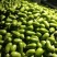 绿茄