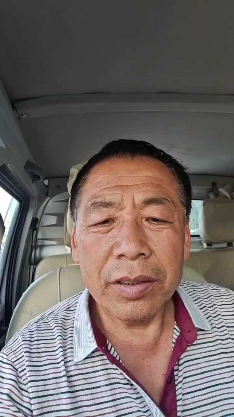 纯红薯粉面，假一赔十，安徽阜阳纯红薯粉面加工厂