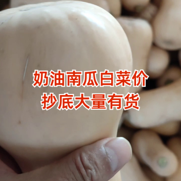 汉中城固奶油南瓜。产地直发。精品电商货、市场货。干面甜