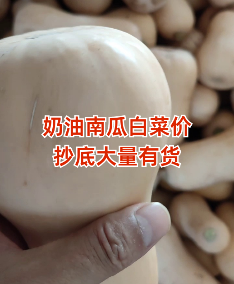 汉中城固奶油南瓜。产地直发。精品电商货、市场货。干面甜