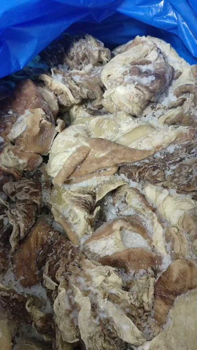 山东济南熟货干净便宜，几块钱一斤