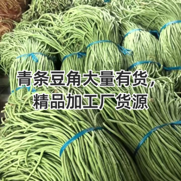 精品豆角水洗打冷协助上车安徽青条豆角大量供应