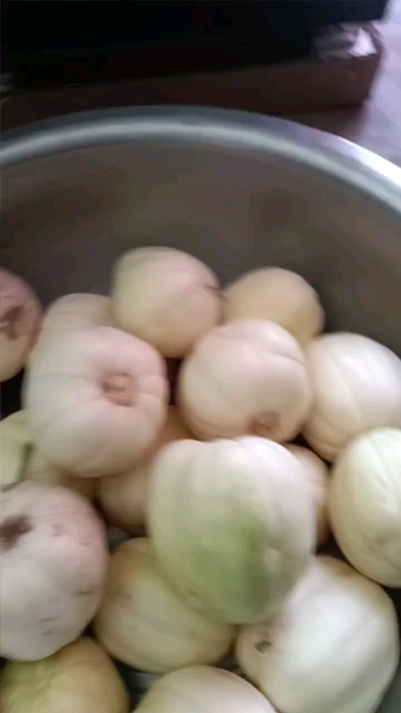 盛唐香妃（香瓜）刚开园