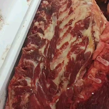 活马现宰腿肉肋条腱子独立包装使用方