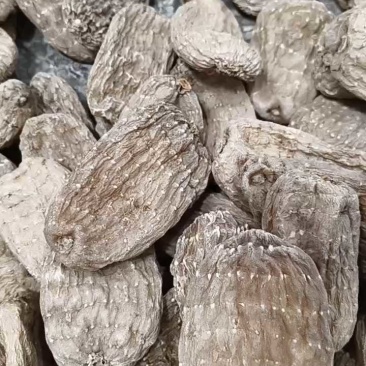 临夏天麻接近野生，145一斤，七八个