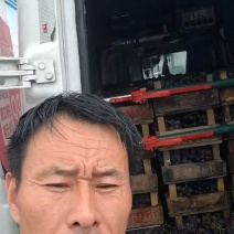 【货源充足】京亚葡萄良心买卖换位思考，藤稔葡萄全国发货