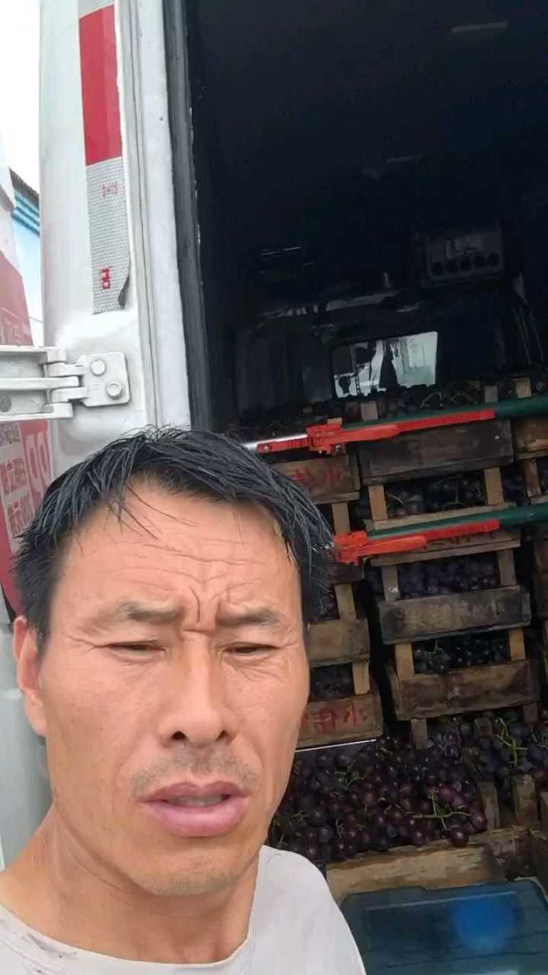 【货源充足】京亚葡萄良心买卖换位思考，藤稔葡萄全国发货