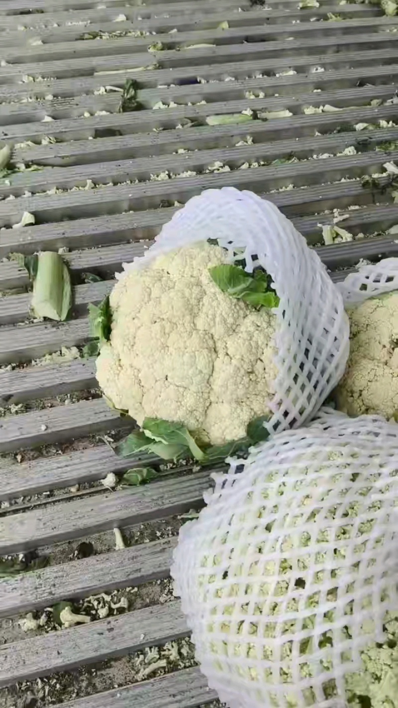 花菜一块四，无根不错
