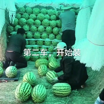 宁夏硒砂瓜石头瓜石缝瓜货源充足量大从优实力代发