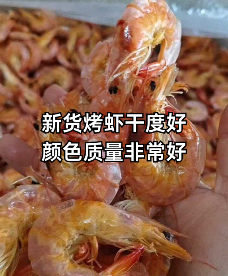 烤虾自己加工淡干无盐干度很好产地直发