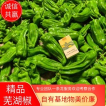 芜湖椒，自家基地一手货源规格齐全各种包装都有，支持视频看