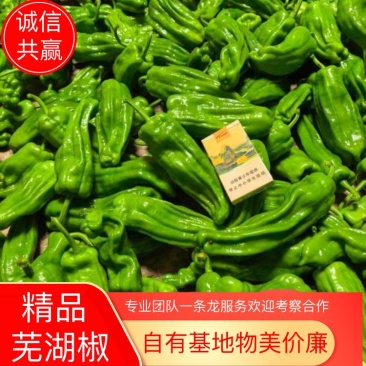 芜湖椒，自家基地一手货源规格齐全各种包装都有，支持视频看